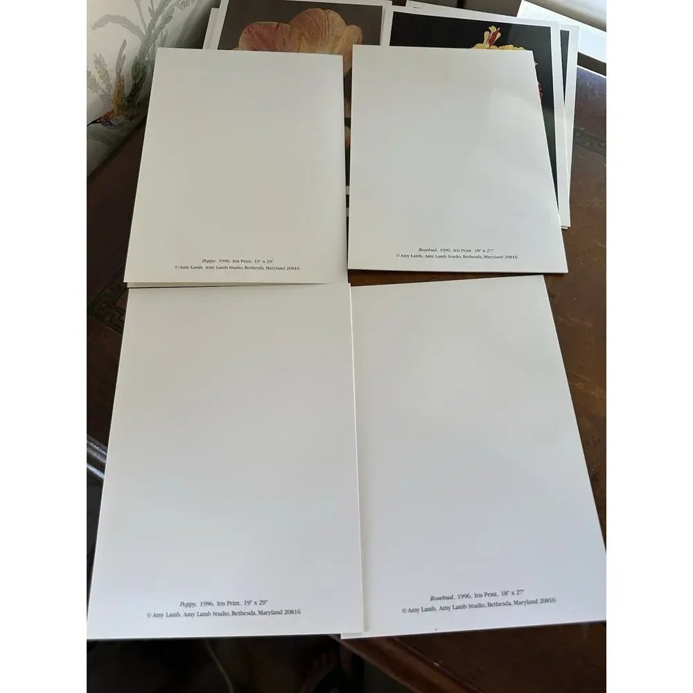 Lauritzen Gardens Note Cards Set Of 8 By Amy Lamb